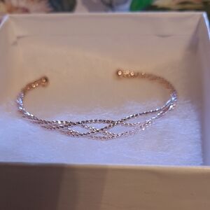 NWT Adrienne Vittadini Gold Twisted Wire Bracelet